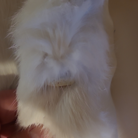 Chic Cream Teddy Jacket - Picture 5 of 5